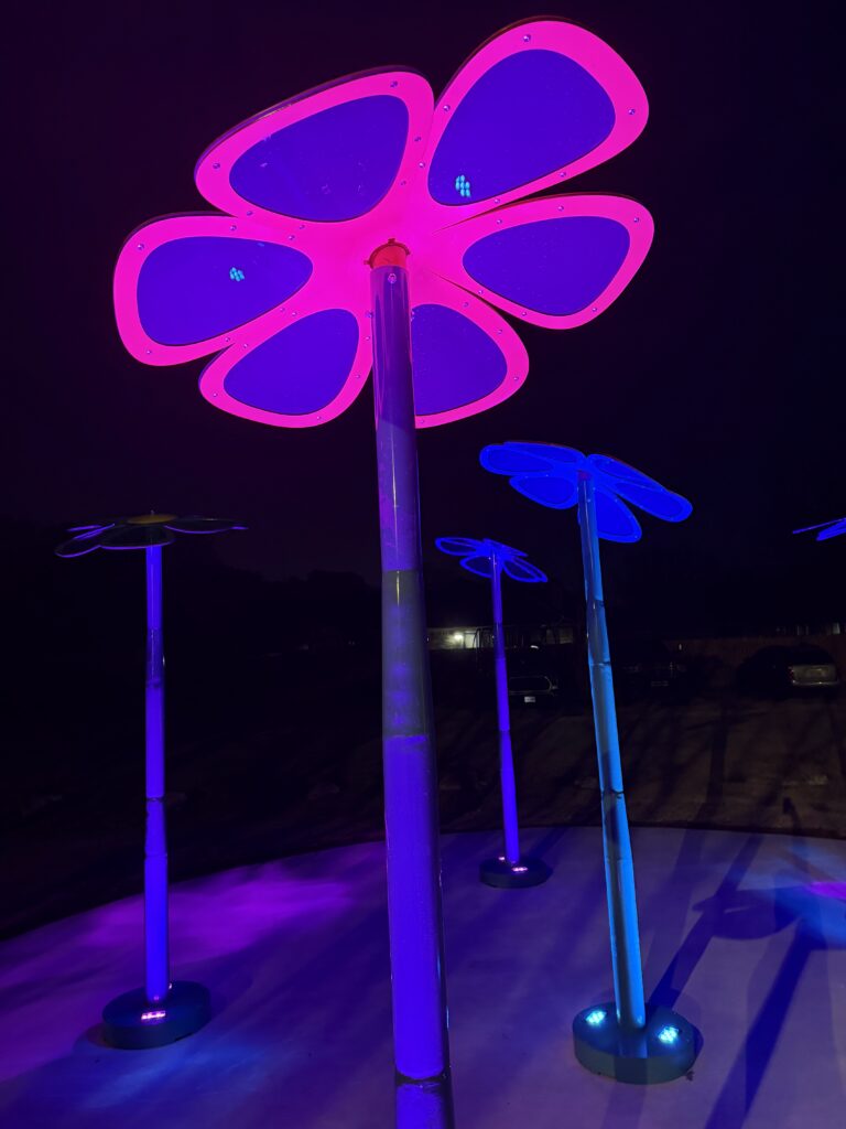 Kyle Celebrates First Public Art Installation with 'Sky Blooms