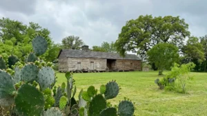 A rustic wooden cabin sits on a grassy lawn surrounded by green trees and prickly pear cacti, under a cloudy sky.